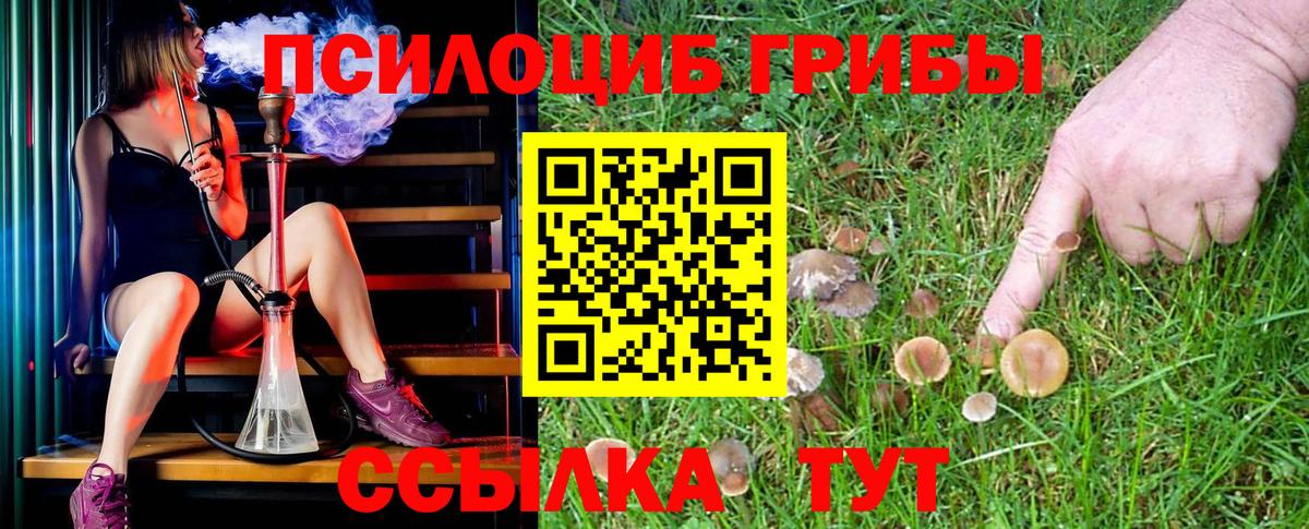 Галлюциногенные грибы Cubensis Ступино