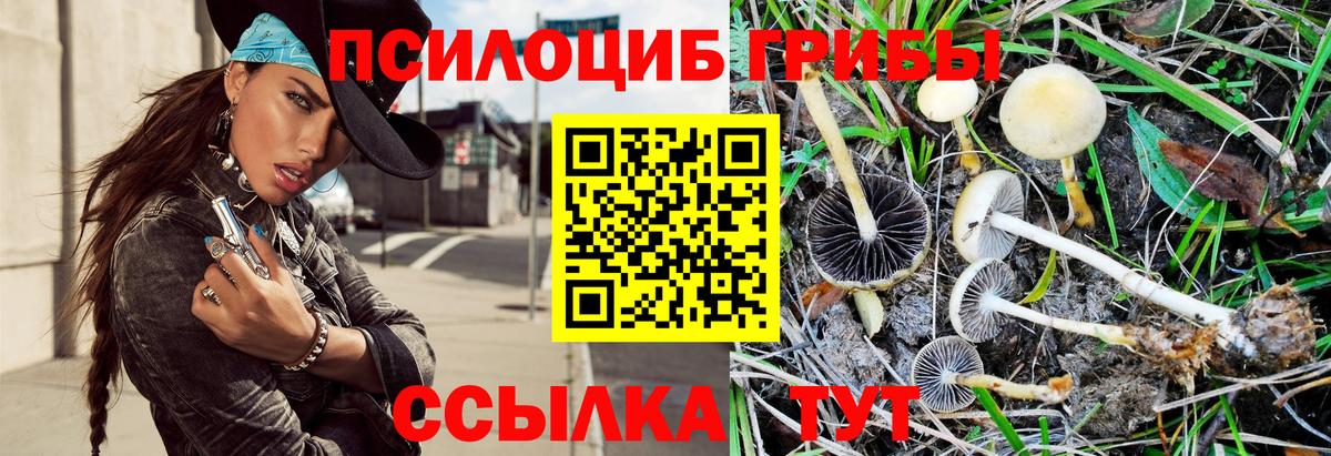 Псилоцибиновые грибы мухоморы  цены наркотик  Ступино  Галлюциногенные грибы мухоморы  Вход с VPN 